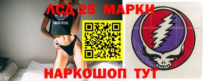мдпв Кингисепп