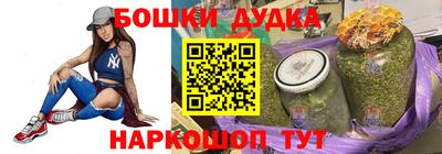 мдпв Кингисепп
