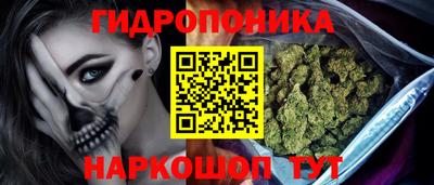 мдпв Кингисепп