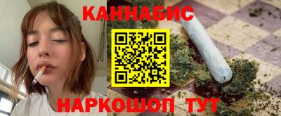 мдпв Кингисепп