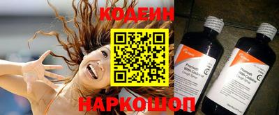 мдпв Кингисепп