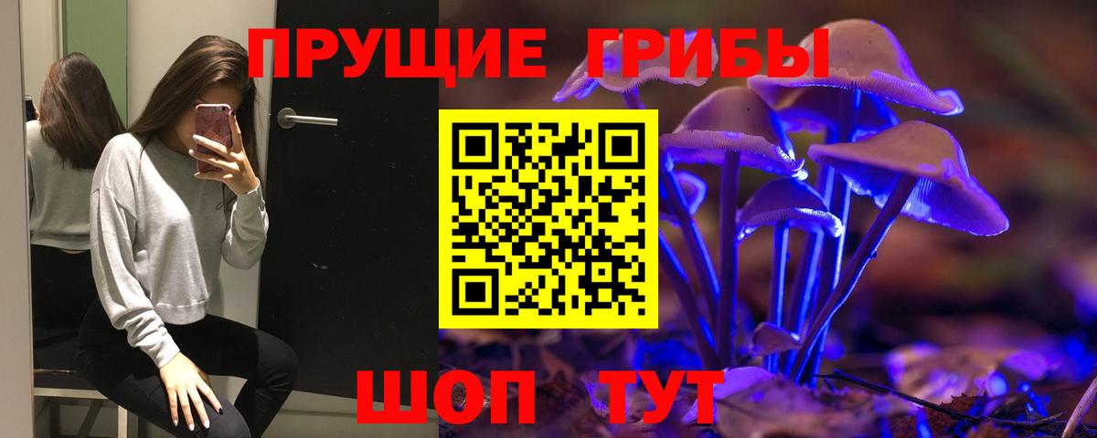 Галлюциногенные грибы Psilocybe Красноуфимск